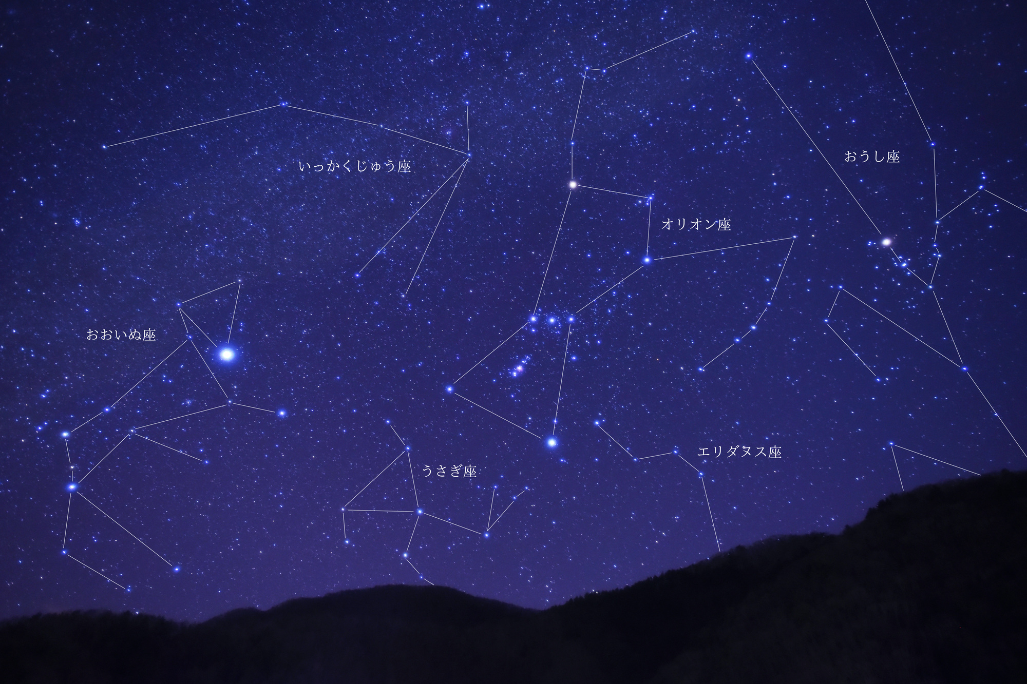 多摩六都科学館