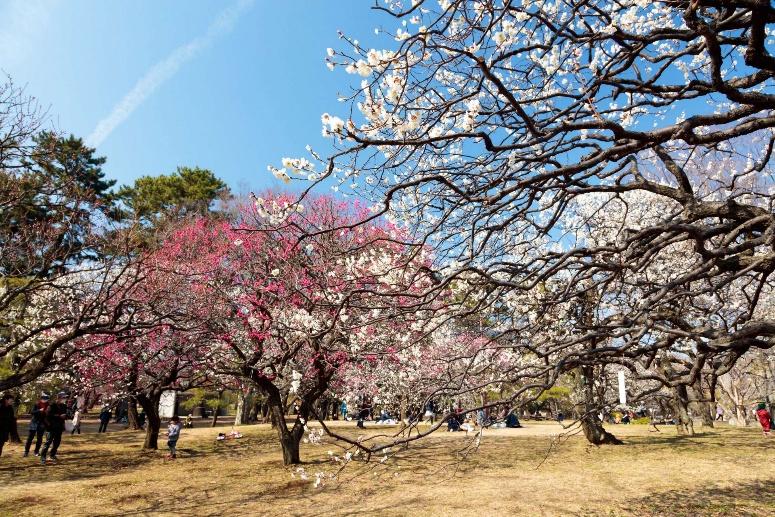 自然に囲まれた都市